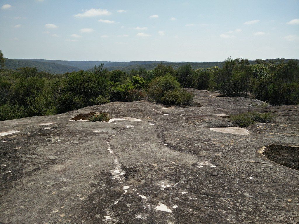 Karloo walking track, Royal National Park