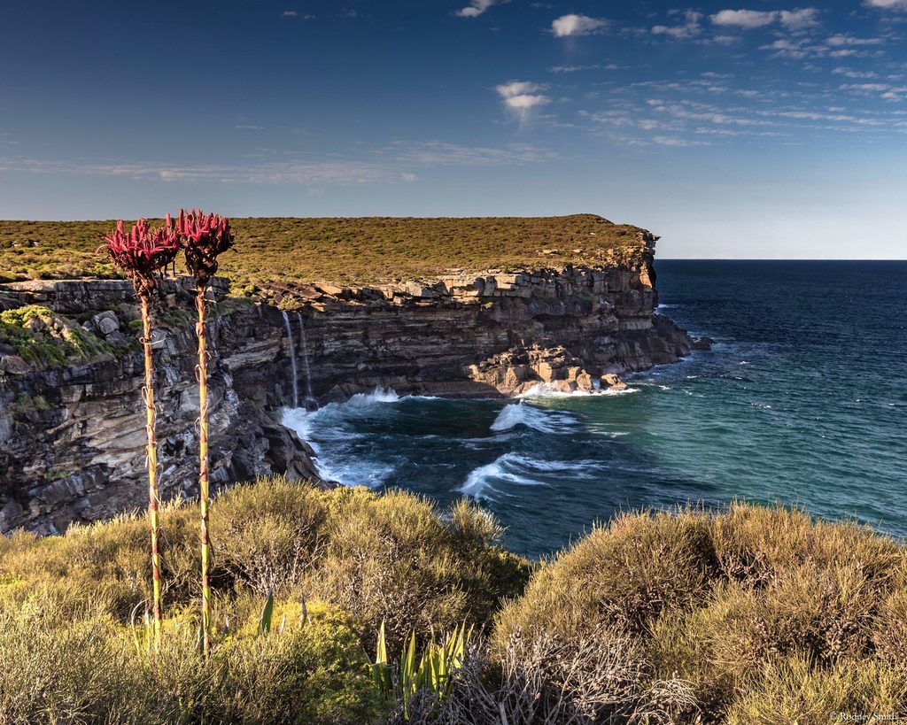Eagle Rock and Curracurrong Falls Track, Royal National Park