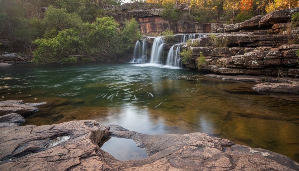 Winifred Falls Track, Royal National Park