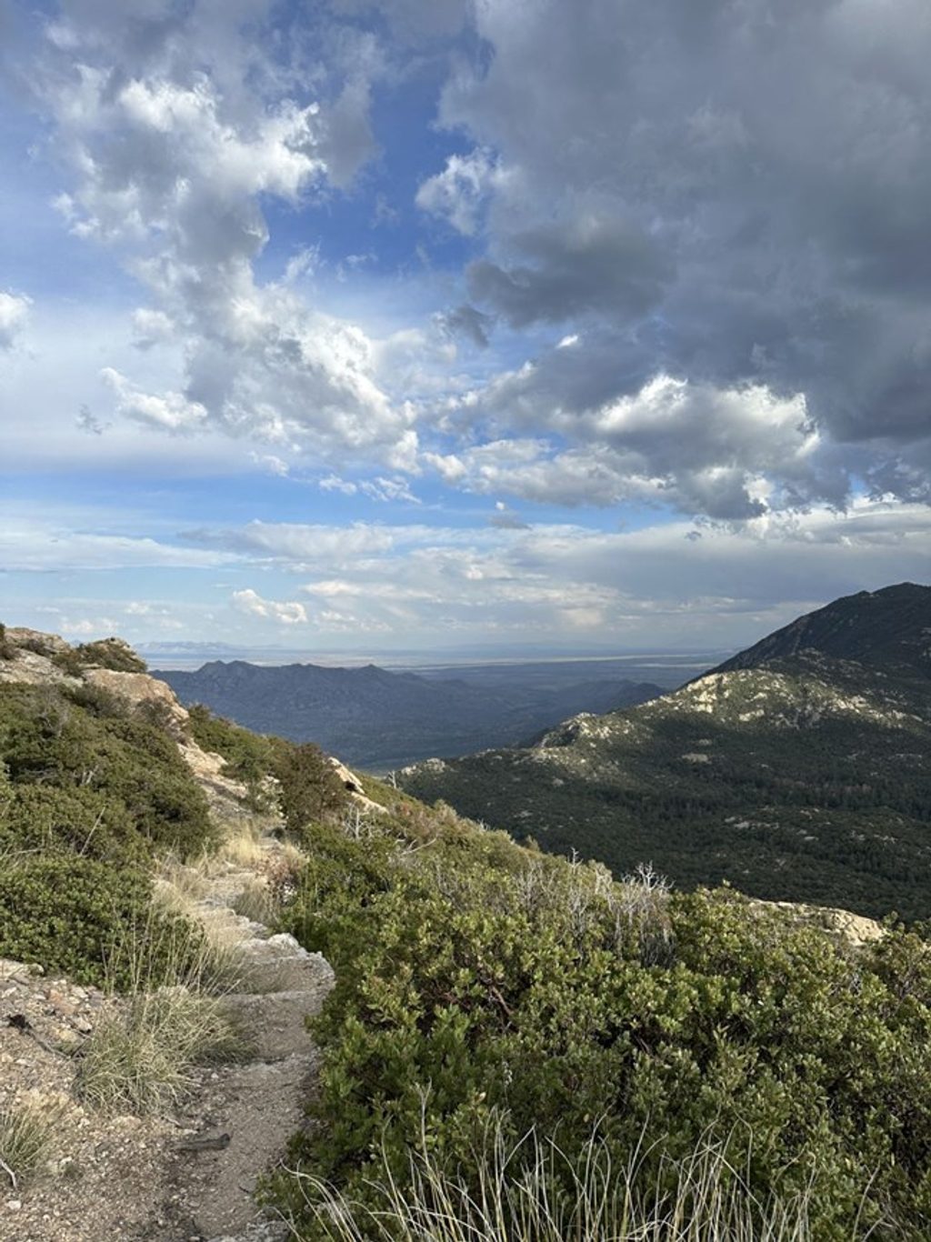 Heartbreak Ridge Trail, Saguaro National Park