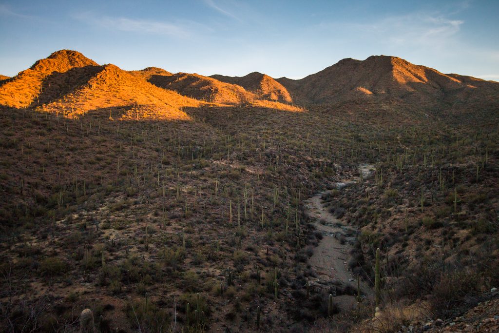 King Canyon Trail, Saguaro National Park
