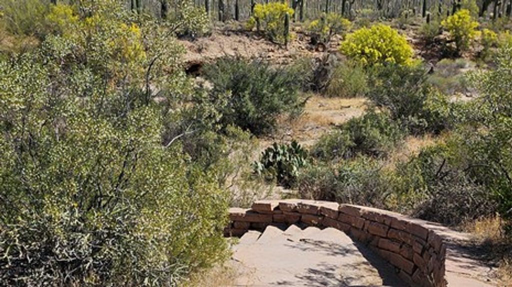 Valley View Overlook Trail, Saguaro National Park