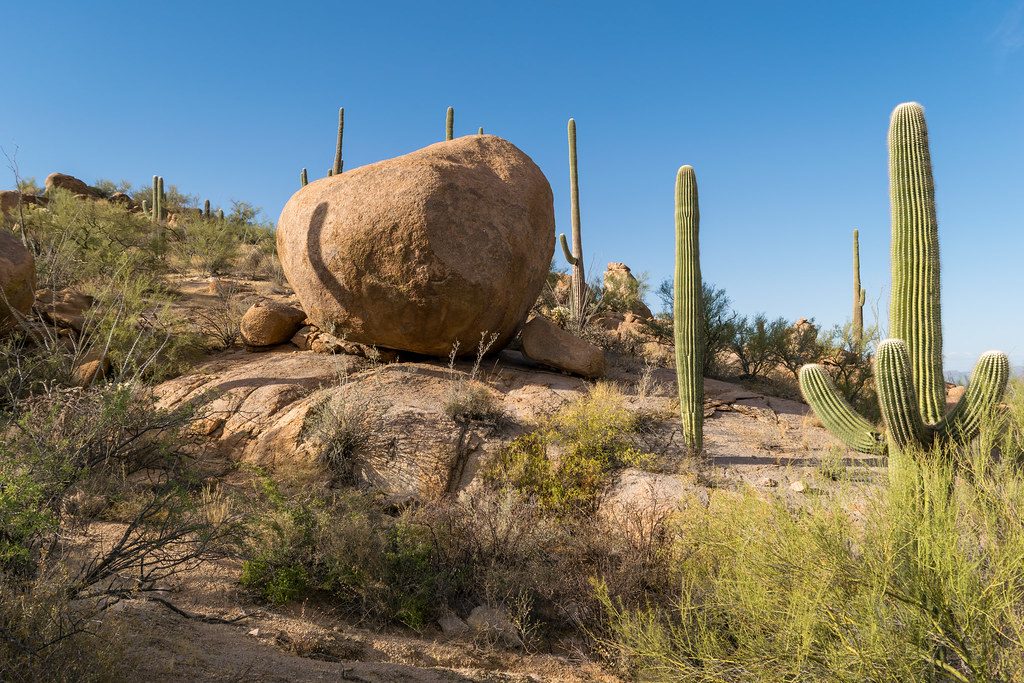 Hugh Norris Trail, Saguaro National Park