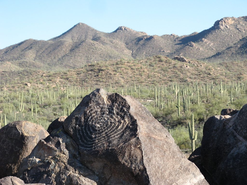Signal Hill Trail, Saguaro National Park