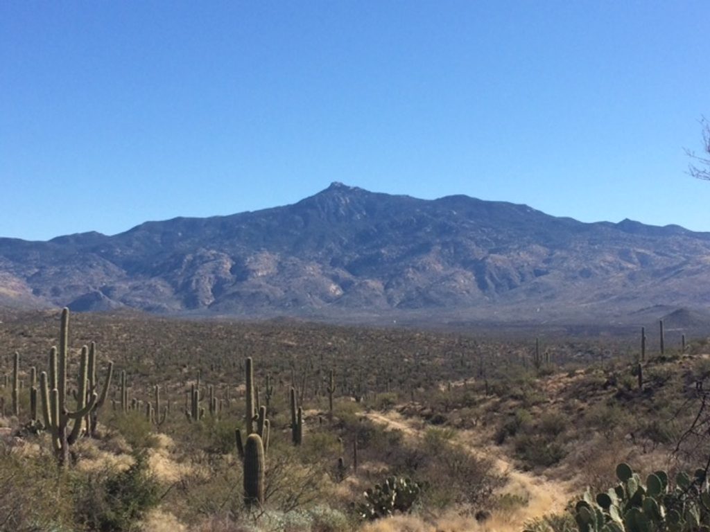 Hope Camp Trail, Saguaro National Park