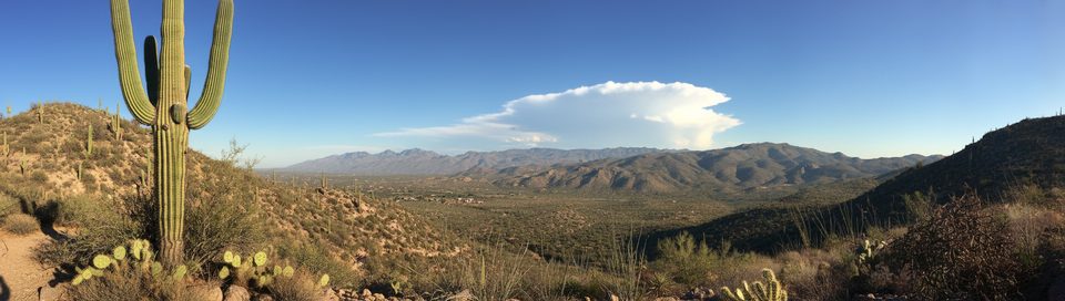 Three Tank Trail, Saguaro National Park