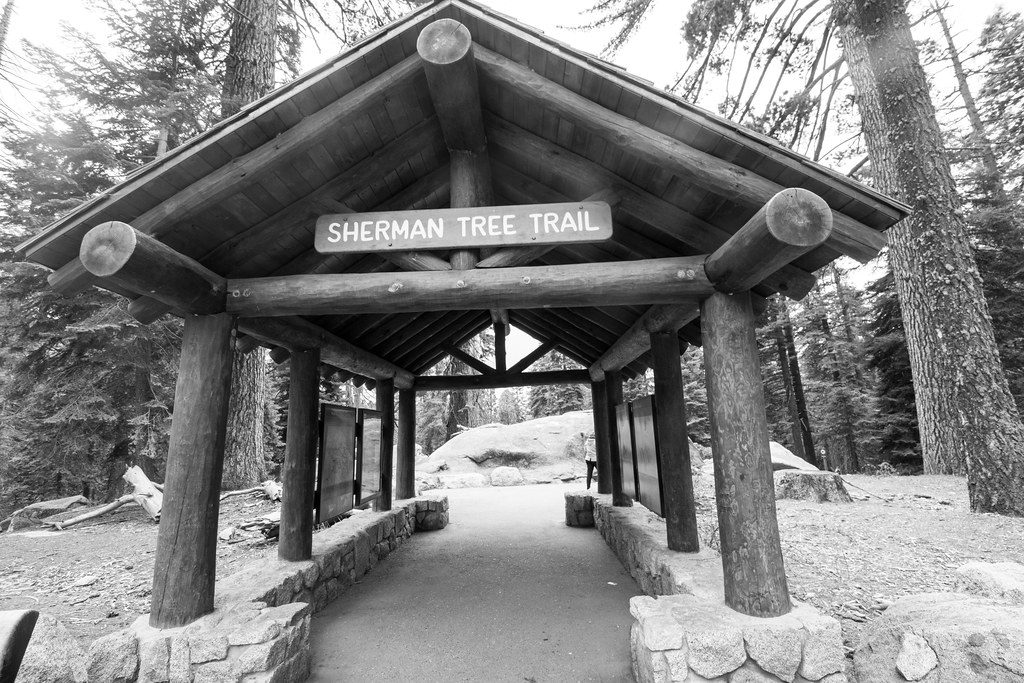 Sherman Tree Trail, Sequoia National Park
