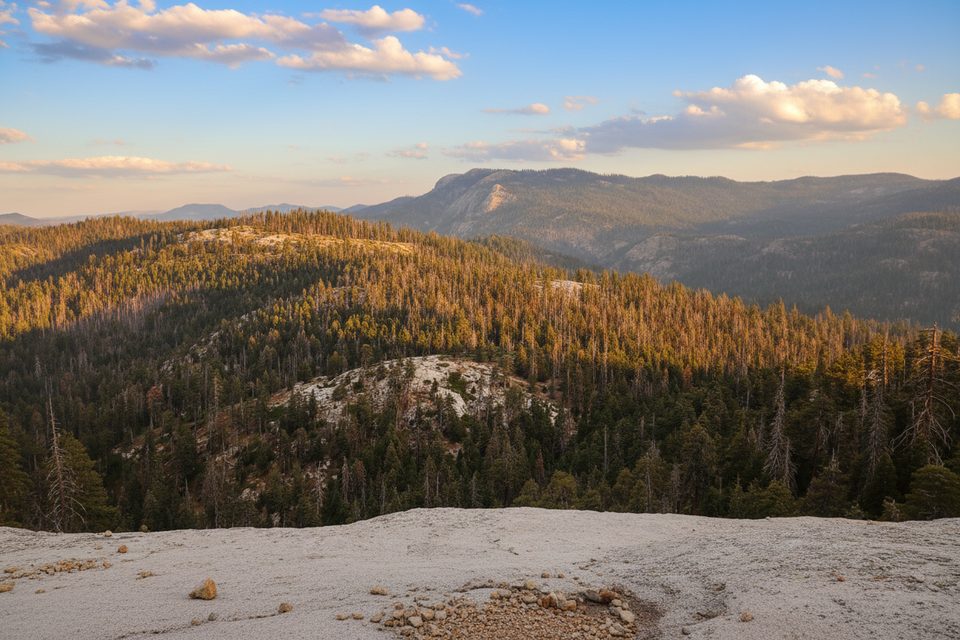 Little Baldy Trail, Sequoia National Park