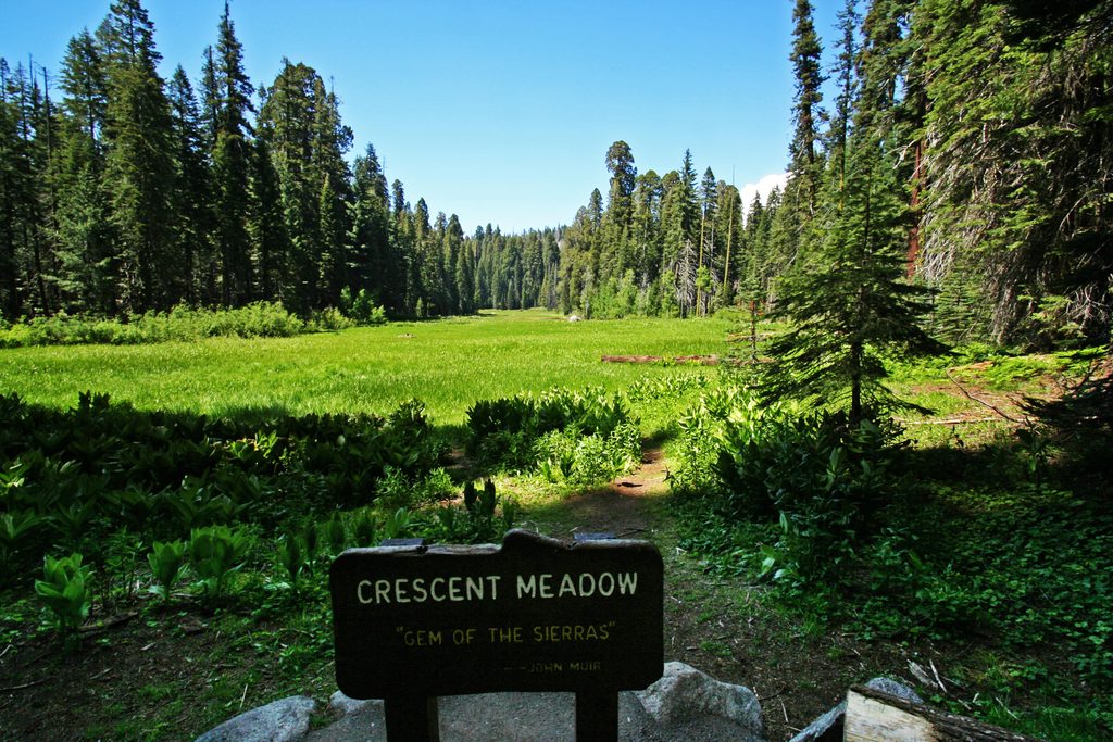 Crescent Meadow Loop, Sequoia National Park