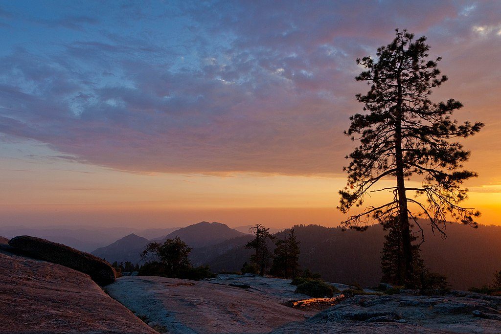 Beetle Rock Trail, Sequoia National Park