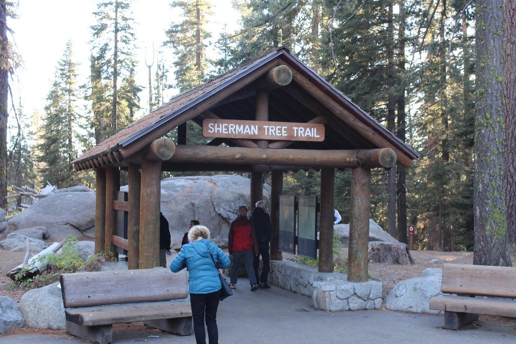 General Sherman Tree Trail, Sequoia National Park