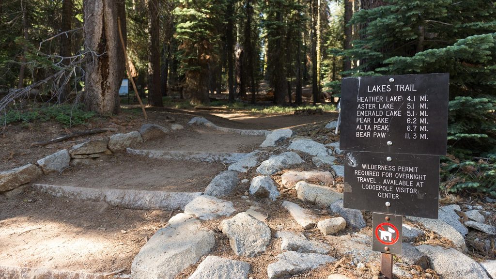 Lakes Trail to Pear Lake, Sequoia National Park