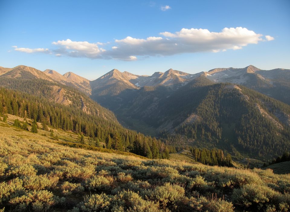 Timber Gap Trail, Sequoia National Park