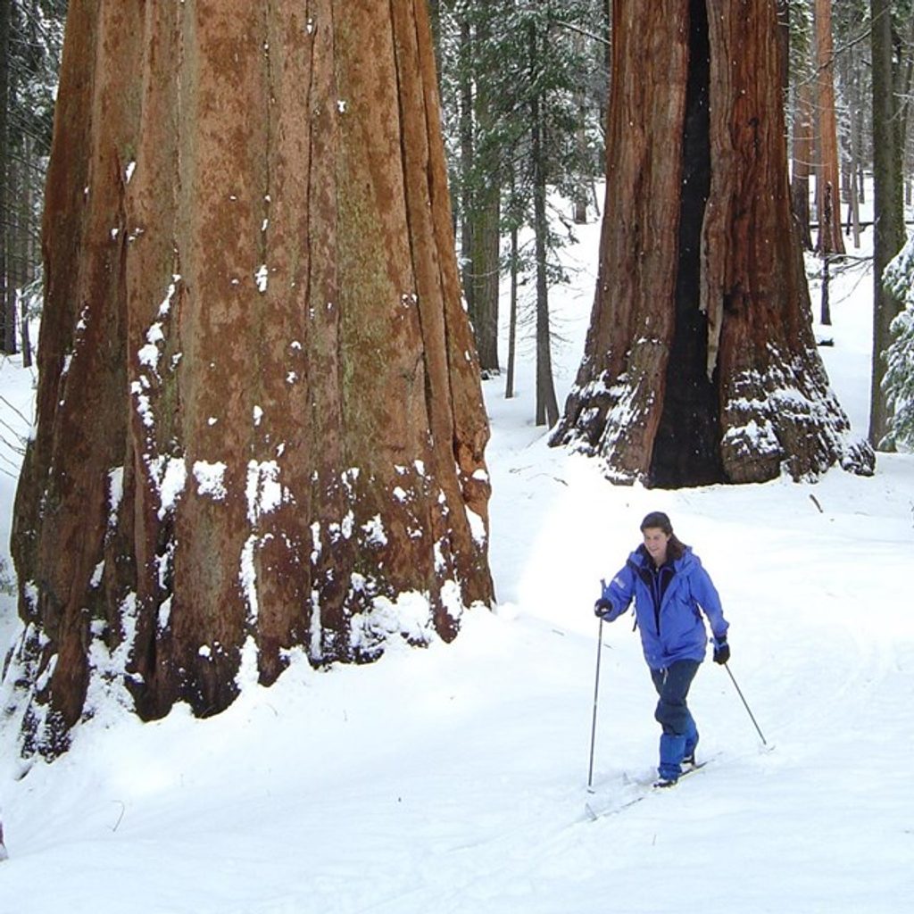Bear Hill Trail, Sequoia National Park