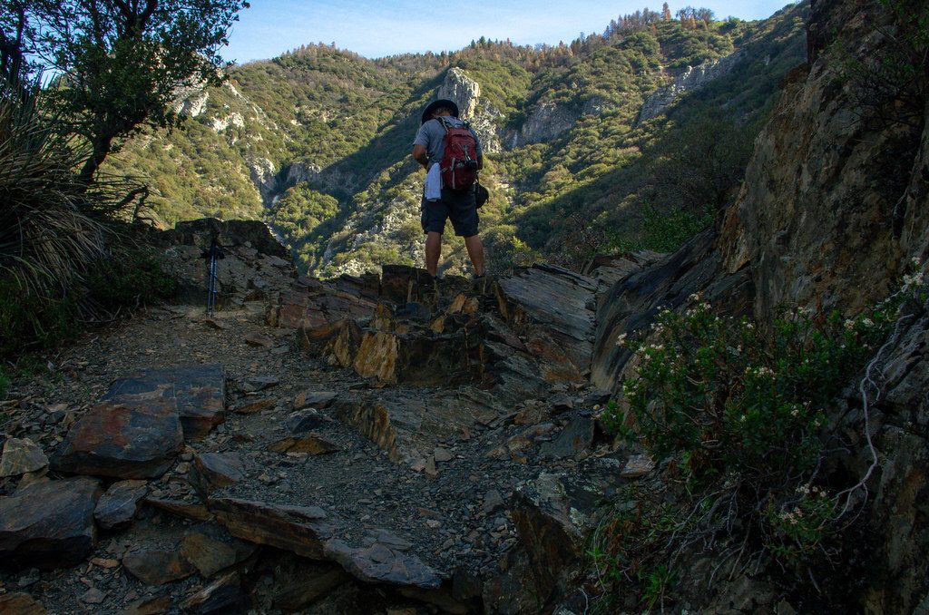 Marble Falls Trail, Sequoia National Park