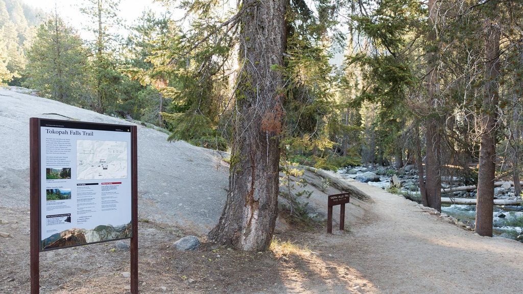 Tokopah Falls Trail, Sequoia National Park