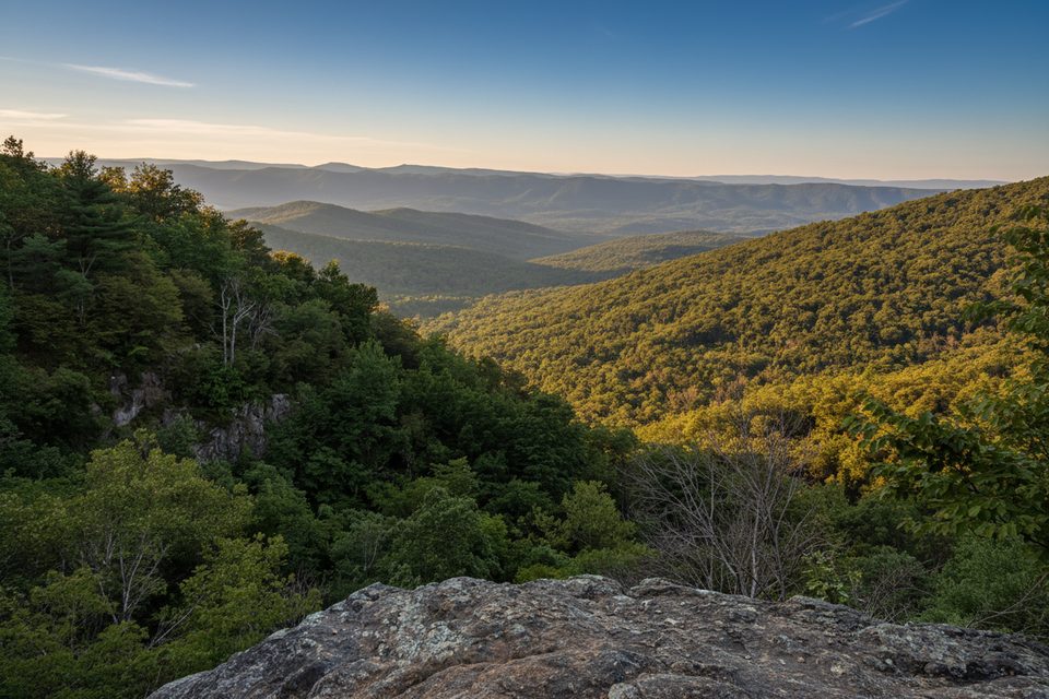 Overall Run - Beecher Ridge Loop, Shenandoah National Park