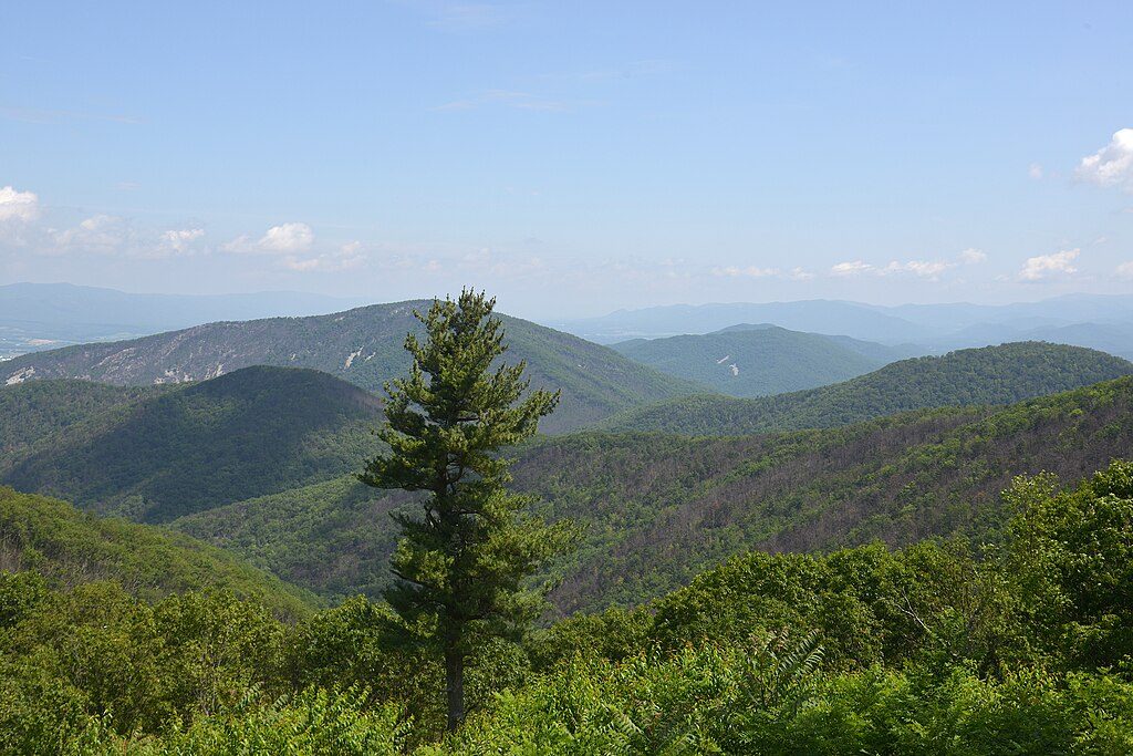 Brown Mountain Trail, Shenandoah National Park