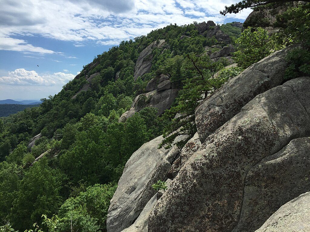 Ridge Trail, Shenandoah National Park