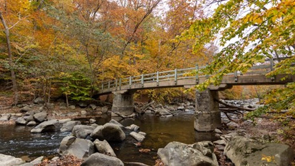 Laurel Prong Trail, Shenandoah National Park