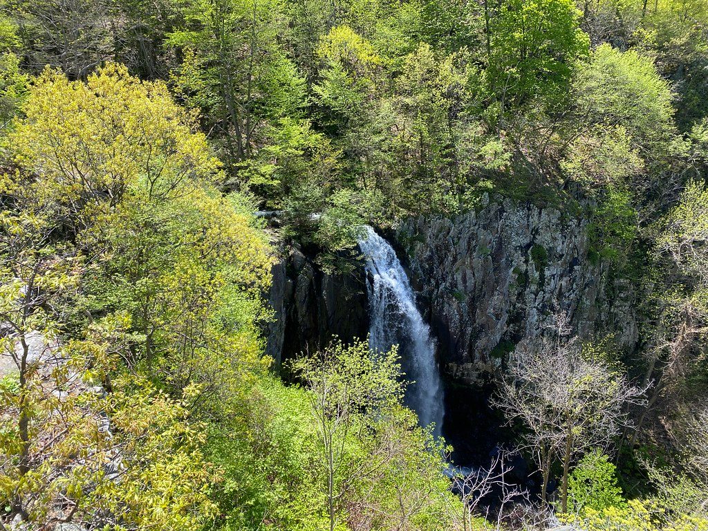 Tuscarora-Overall Run Trail, Shenandoah National Park