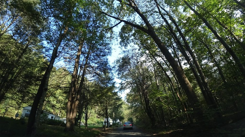 Cedar Run Trail, Shenandoah National Park