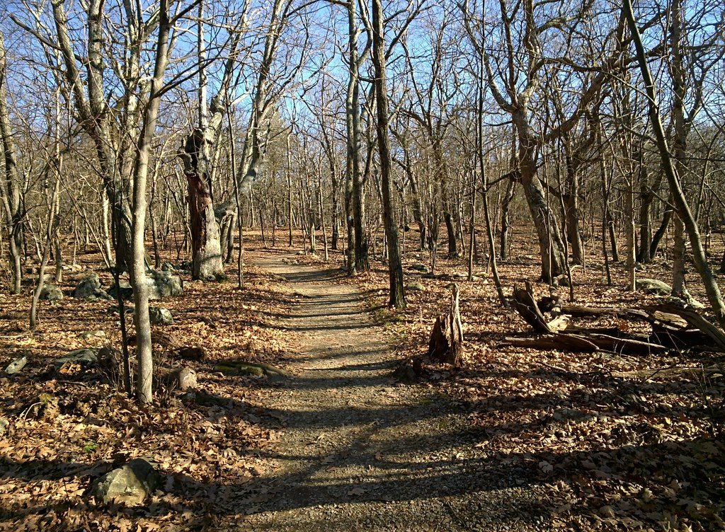 Lower Hawksbill Trail, Shenandoah National Park