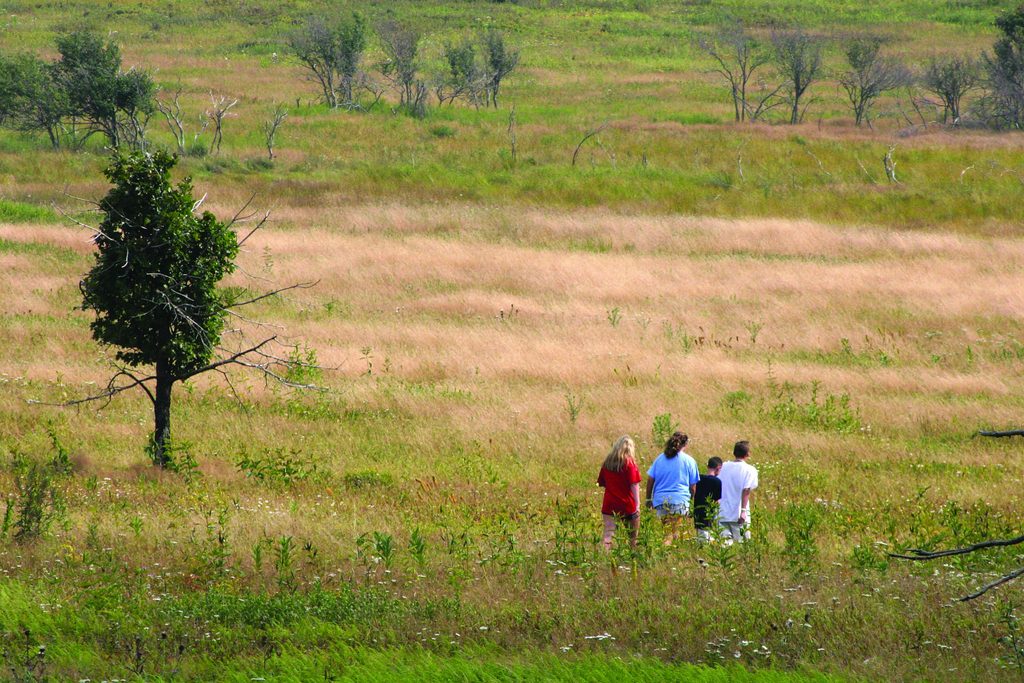 Big Meadows Loop, Shenandoah National Park