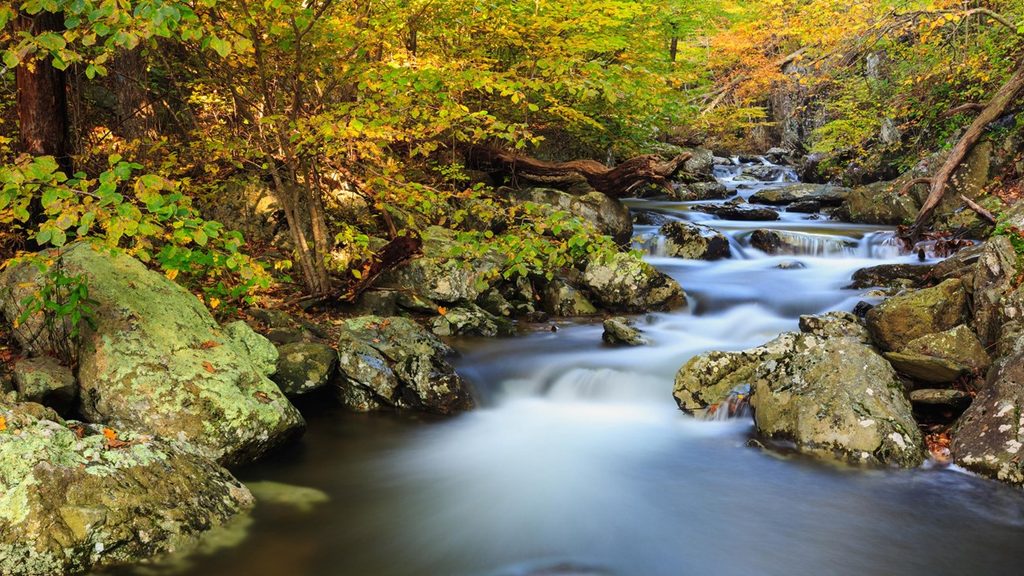 Whiteoak Canyon Trail, Shenandoah National Park