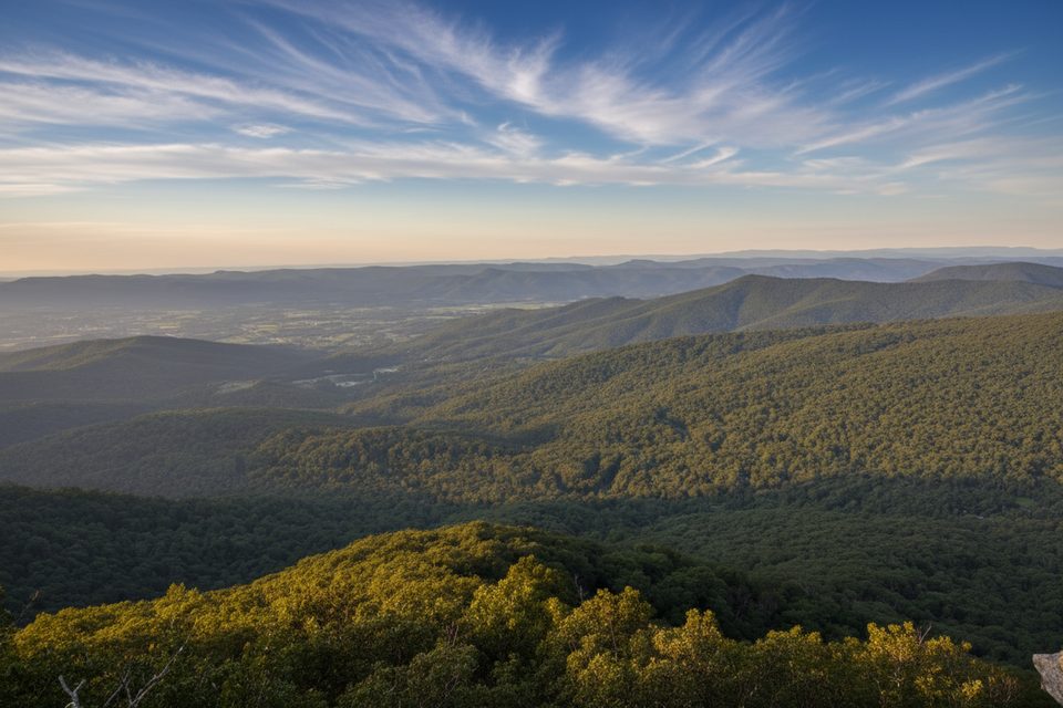 Buck Hollow - Buck Ridge Loop to Mary's Rock, Shenandoah National Park