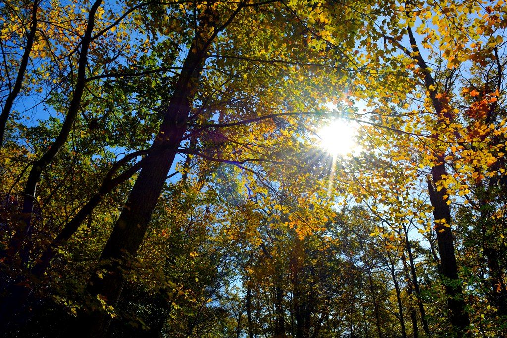Pocosin Trail, Shenandoah National Park
