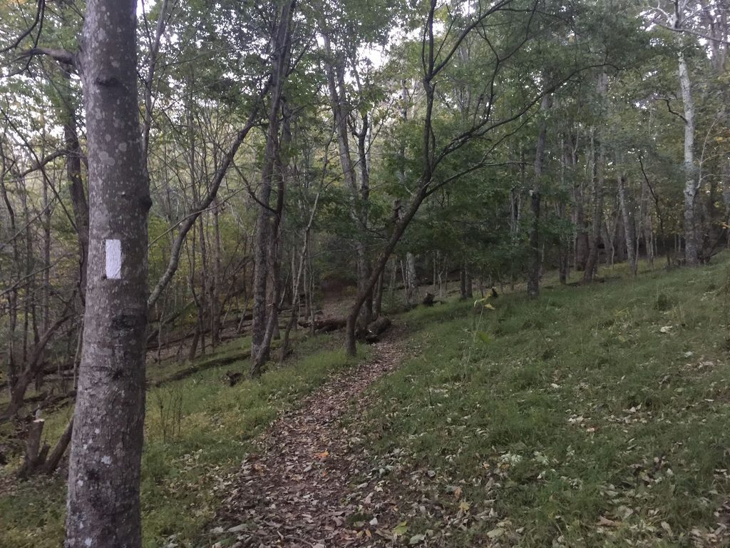 Lewis Mountain Nature Trail, Shenandoah National Park