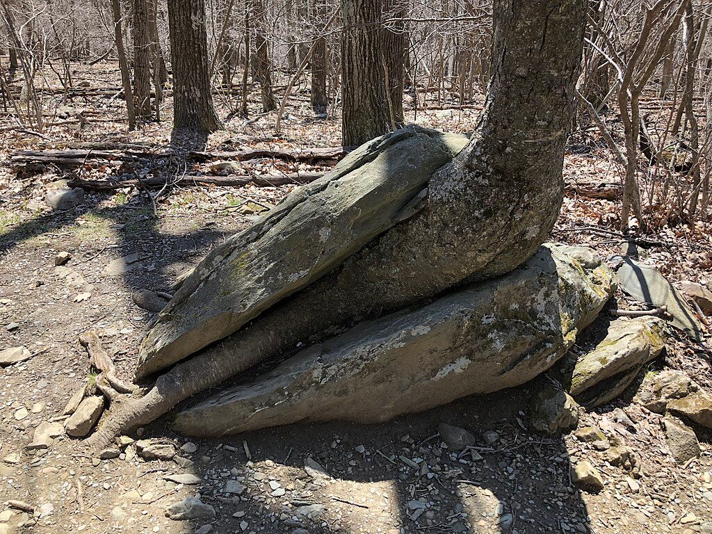 Stony Man Trail, Shenandoah National Park