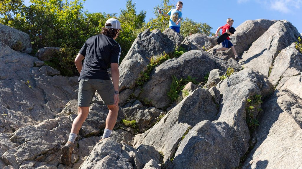 Marys Rock via Meadow Spring Trail, Shenandoah National Park