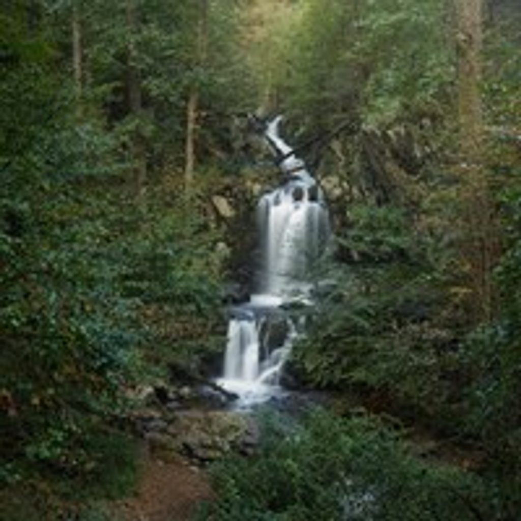 Doyles River - Jones Run Falls Loop, Shenandoah National Park