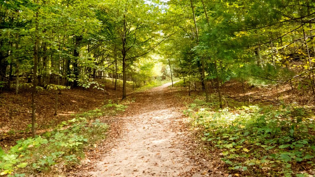 Alligator Hill Trail, Sleeping Bear Dunes National Lakeshore