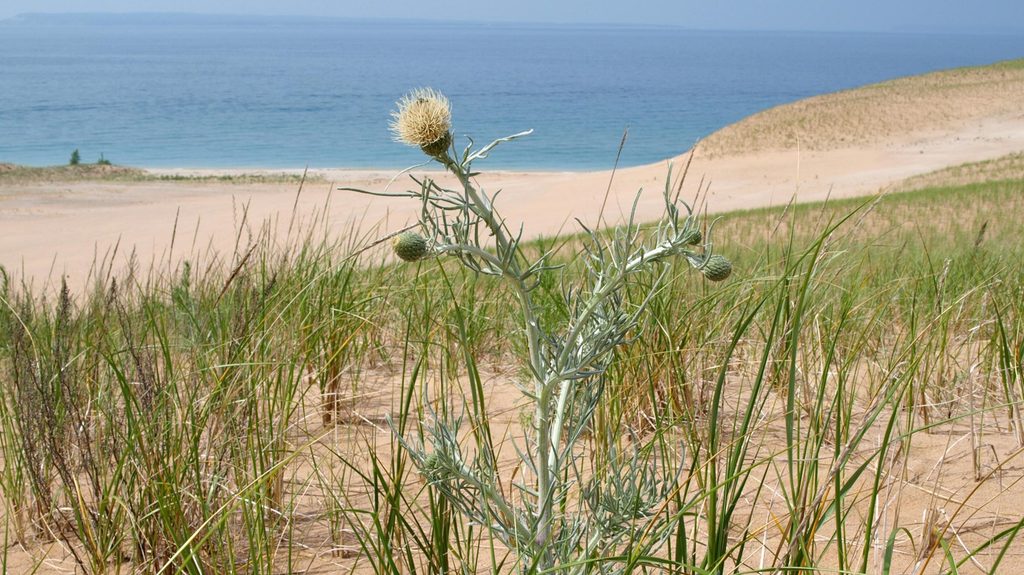 Sleeping Bear Point Trail, Sleeping Bear Dunes National Lakeshore