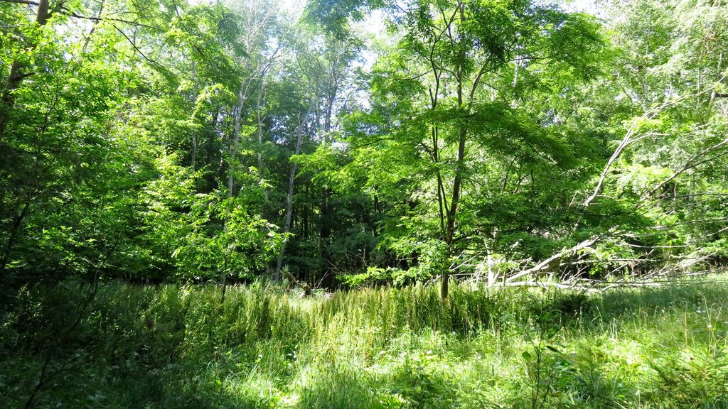 Shauger Hill Trail, Sleeping Bear Dunes National Lakeshore