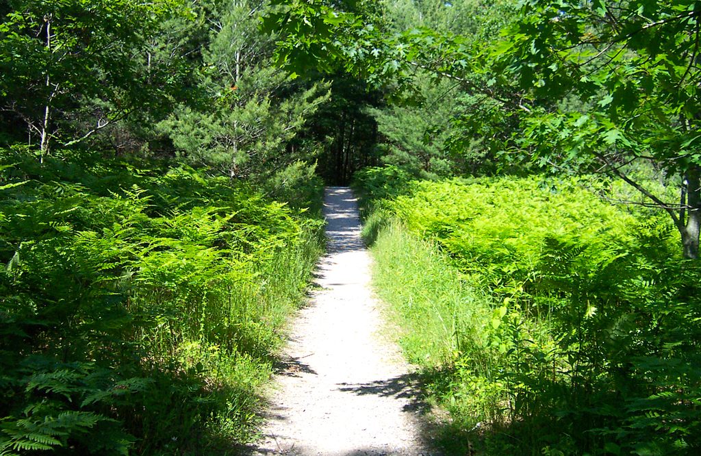 South Manitou Island Perimeter Trail, Sleeping Bear Dunes National Lakeshore