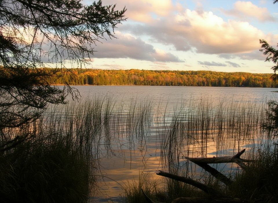 Platte Plains Trail: Otter Lake Loop, Sleeping Bear Dunes National Lakeshore