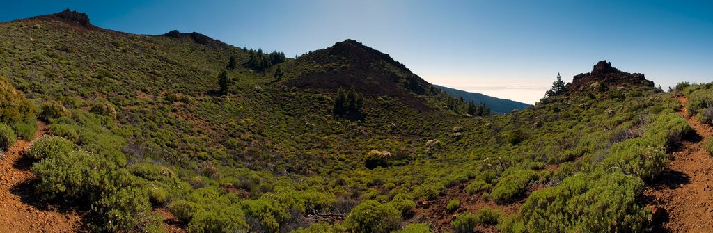 Alto de Guamaso Loop, Teide National Park