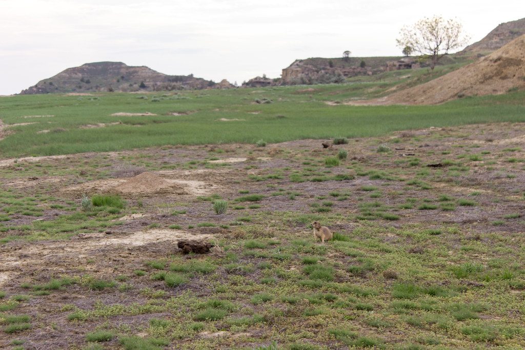 Paddock Creek Trail, Theodore Roosevelt National Park