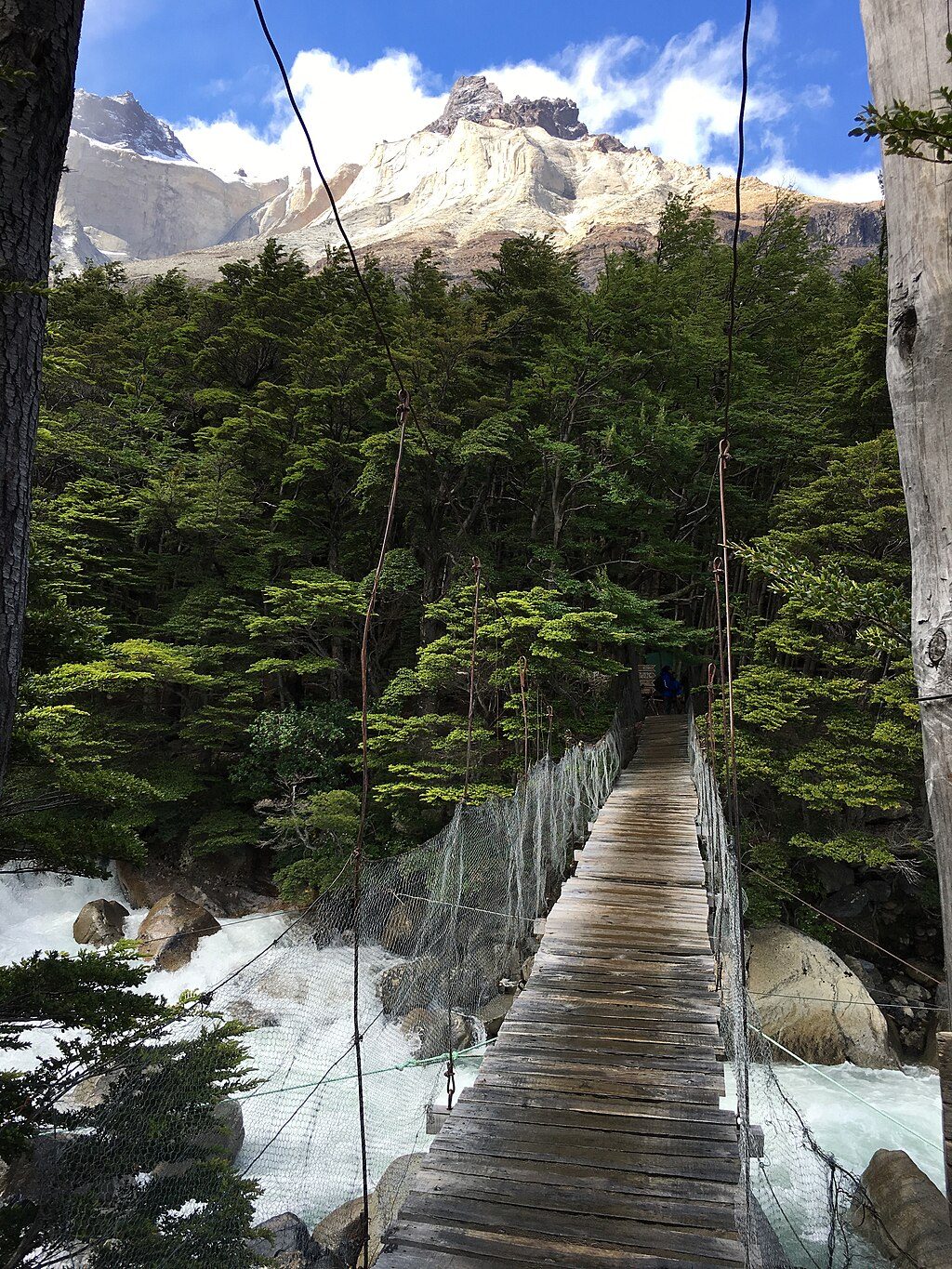 Grey Glacier Suspension Bridges (Pasarelas del Glaciar Grey), Torres del Paine National Park