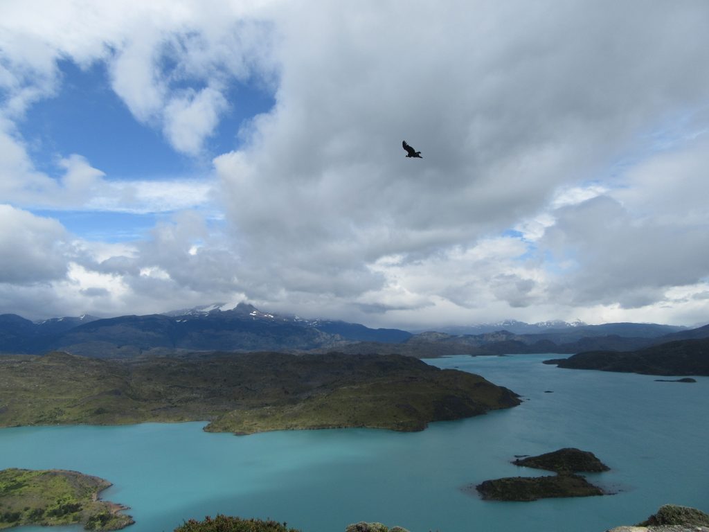Mirador Condor, Torres del Paine National Park
