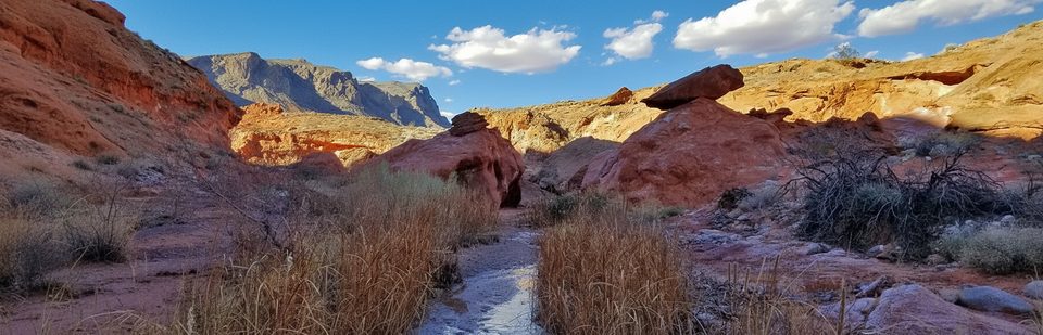 Charlie's Spring Trail, Valley of Fire State Park