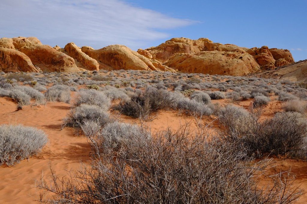Rainbow Vista Trail, Valley of Fire State Park
