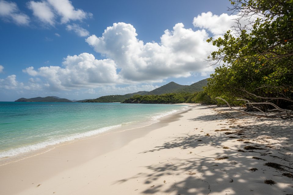 Denis Bay Trail, Virgin Islands National Park