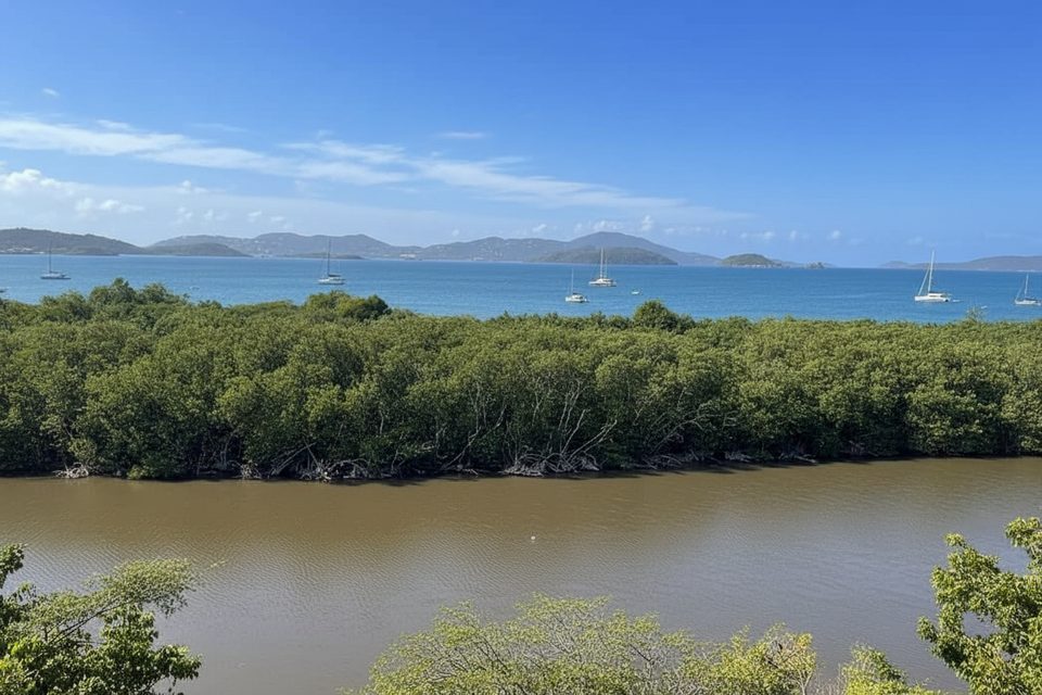 Francis Bay Trail, Virgin Islands National Park
