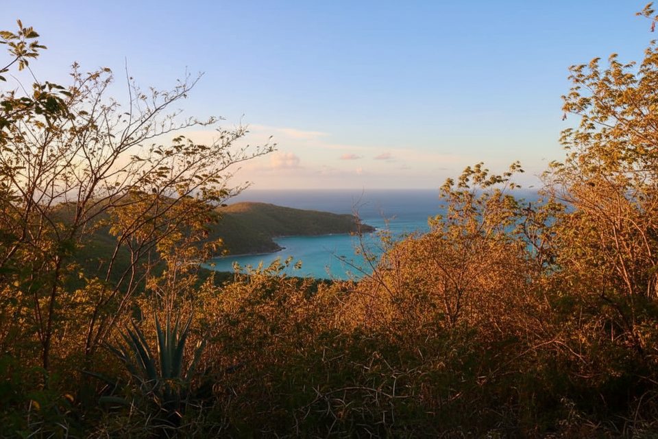 Bordeaux Mountain Trail, Virgin Islands National Park