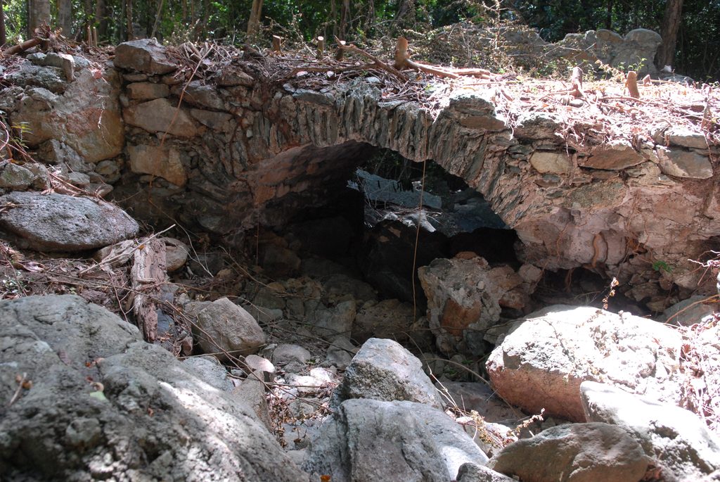 L'Esperance Trail, Virgin Islands National Park